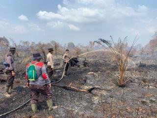 37 Hektare Lahan Terbakar, Petugas Gabungan Berjibaku Padamkan Karhutla di Rohil
