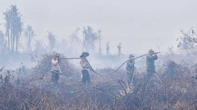 Lahan terbakar di Riau Januari-13 Februari capai 55,71 hektare