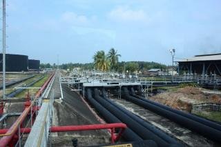 PT Riau Petroleum Siak Diusulkan Kelola PI 10 Persen Blok Siak