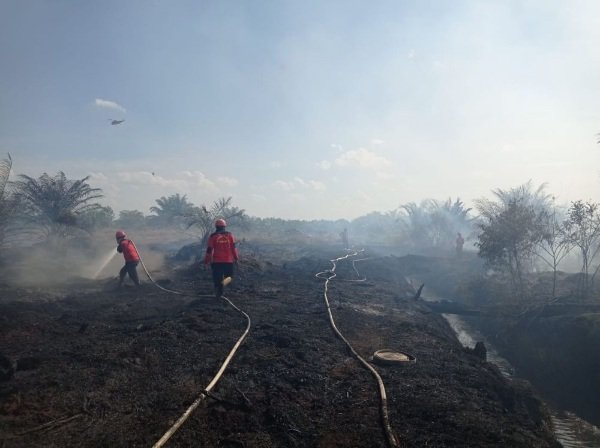 Kebakaran Lahan 50 Hektare di Bengkalis Riau, Pelaku Belum Ada Ditangkap