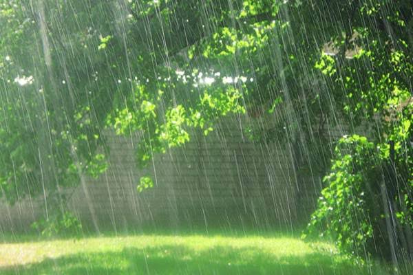 Prakiraan Cuaca, Riau Berpotensi Hujan Ringan pada 23 Mei 2023