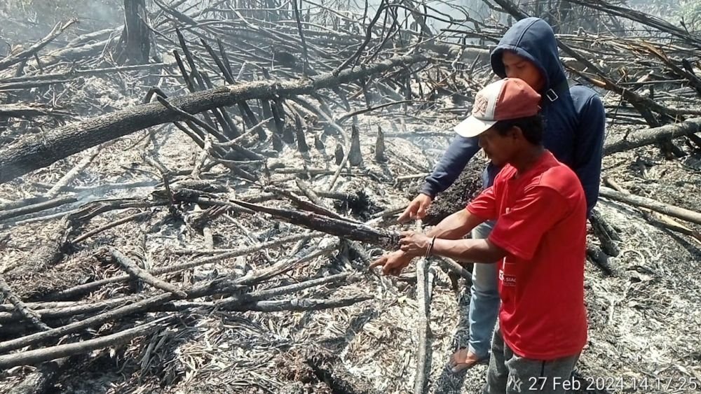 Polres Rohil Tangkap Pembakar Lahan, Akan Jadikan Kebun Sawit
