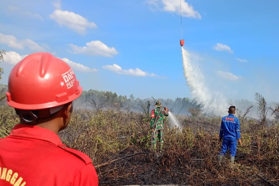 Sejak Januari-Februari Total Luas Lahan Terbakar di Riau 19,10 Hektare
